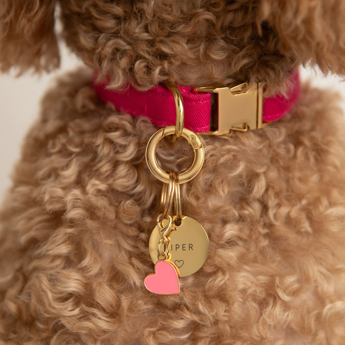 Pawshak Accessories